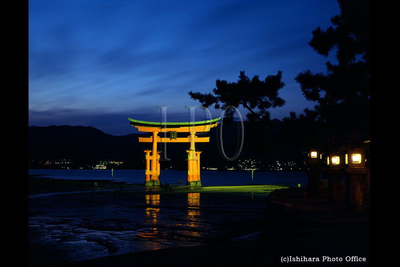 風景(宮島夜景)