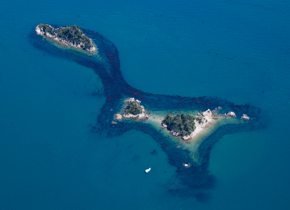 島